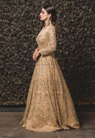 Nitika Gujral-Gold Tulle Gown With Dupatta-INDIASPOPUP.COM