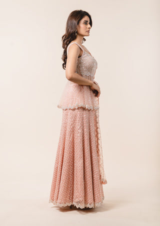 Nitika Gujral-Soft Rose Pink Tulle Peplum Sharara Set-INDIASPOPUP.COM