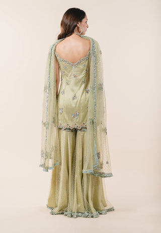 Nitika Gujral-Light Olive Green Garara Set-INDIASPOPUP.COM