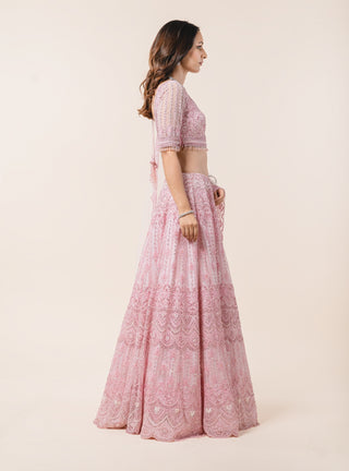 Nitika Gujral-Powder Pink Tulle Lehenga Choli Set-INDIASPOPUP.COM