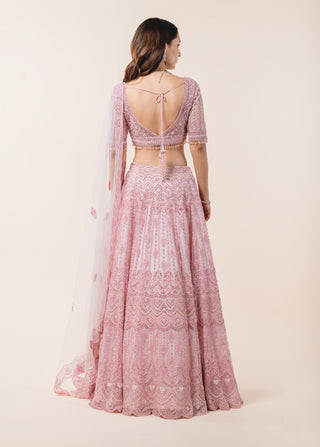 Nitika Gujral-Powder Pink Tulle Lehenga Choli Set-INDIASPOPUP.COM