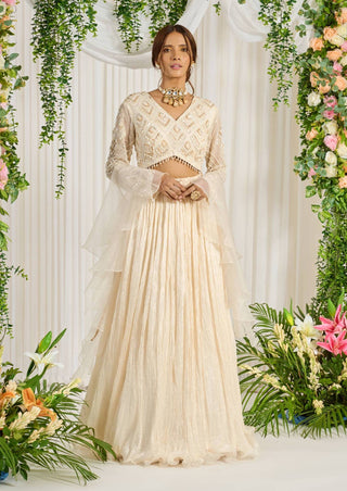 Nidhika Shekhar-Ivory Basant Lehenga Choli Set-INDIASPOPUP.COM