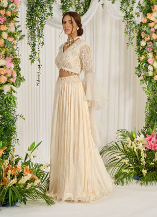 Nidhika Shekhar-Ivory Basant Lehenga Choli Set-INDIASPOPUP.COM