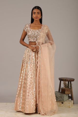 Nidhika Shekhar-Peach Embroidered Lehenga Set-INDIASPOPUP.COM