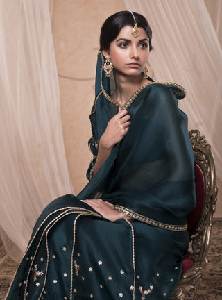 Nadima Saqib - Green Embroidered Saree & Bustier Blouse - INDIASPOPUP.COM
