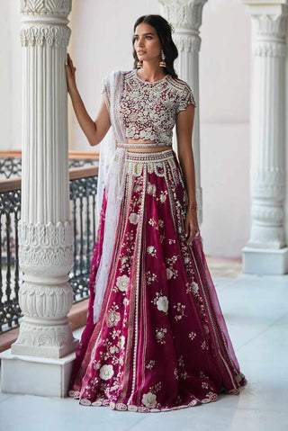 Plum Niloufar Embroidered Lehenga set