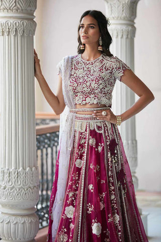 Plum Niloufar Embroidered Lehenga set