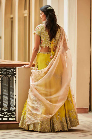 Yellow Nargis Embroidered Lehenga Set