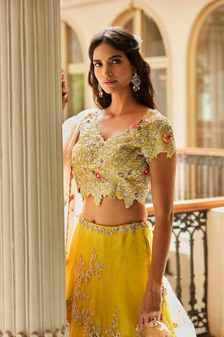 Yellow Nargis Embroidered Lehenga Set