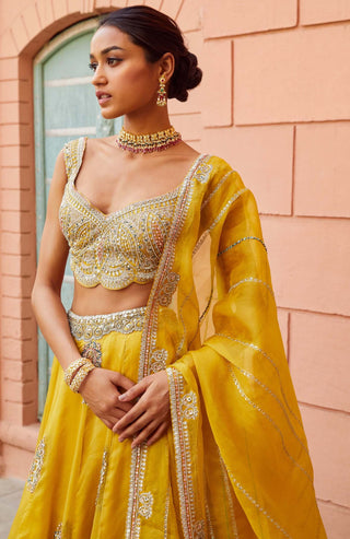 Osaa By Adarsh-Honey Gold Embroidered Lehenga Set-INDIASPOPUP.COM