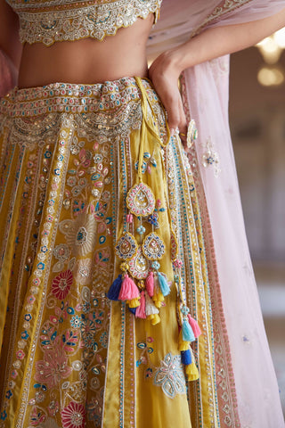 Osaa By Adarsh-Honey Gold Embroidered Organza Lehenga Set-INDIASPOPUP.COM