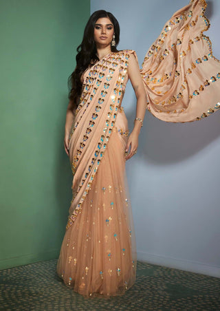 Papa Don'T Preach By Shubhika-Nude Embellished Stitched Sari With Blouse-INDIASPOPUP.COM