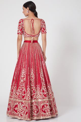 Pink Peacock Couture-Red Embroidered Lehenga Set-INDIASPOPUP.COM
