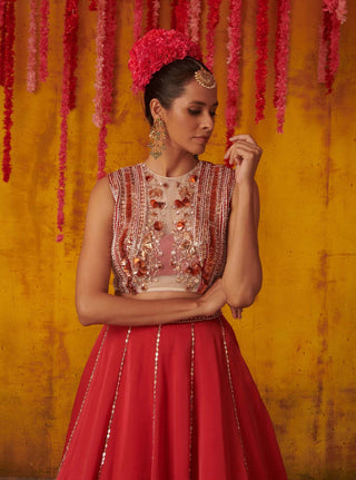 Pink Peacock Couture-Ruby Embellished Gown-INDIASPOPUP.COM