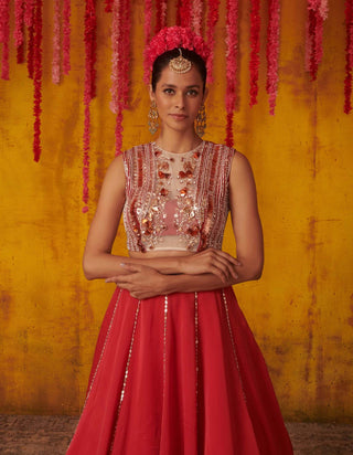 Pink Peacock Couture-Ruby Embellished Gown-INDIASPOPUP.COM