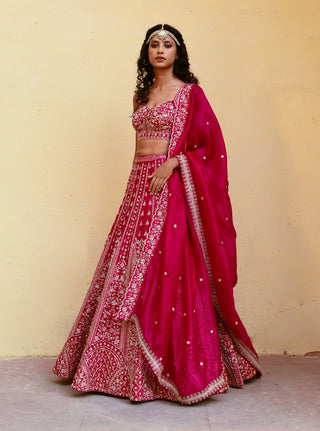 Chamee And Palak-Riana Pink Embroidered Lehenga Set-INDIASPOPUP.COM