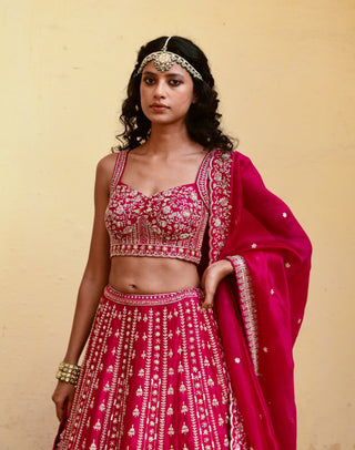 Chamee And Palak-Riana Pink Embroidered Lehenga Set-INDIASPOPUP.COM