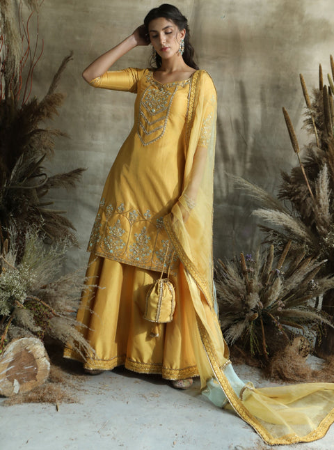 Turquoise By Rachit Khanna-Yellow Straight Suit-INDIASPOPUP.COM