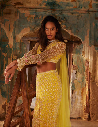 Ridhi Mehra-Amal Yellow Sari Skirt Set-INDIASPOPUP.COM