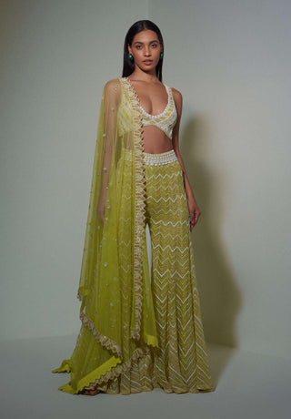 Ritika Mirchandani-Lime Green Sharara With Bustier And Dupatta-INDIASPOPUP.COM