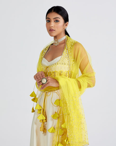 Megha Bansal-Lime Zainaab Anarkali Set-INDIASPOPUP.COM