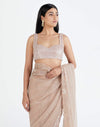 Megha Bansal-Nude Pink Hans Saree With Blouse-INDIASPOPUP.COM