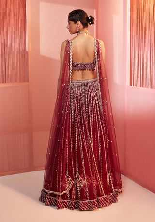 Sanya Gulati-Plum Embroidered Lehenga And Blouse With Double Dupatta-INDIASPOPUP.COM