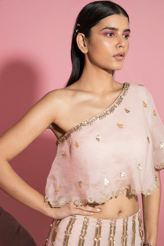 Sanya Gulati-Nude Pink Mermaid Lehenga With One Shoulder Cape Top-INDIASPOPUP.COM