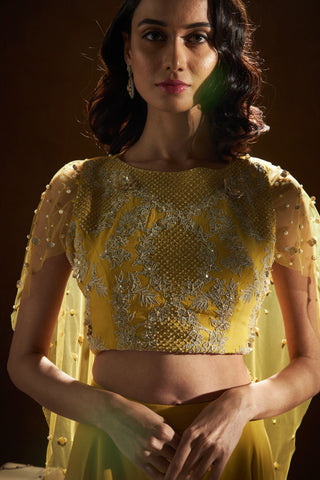 Sanya Gulati-Mustard Crop Top With Flared Sleeves And Palazzo-INDIASPOPUP.COM