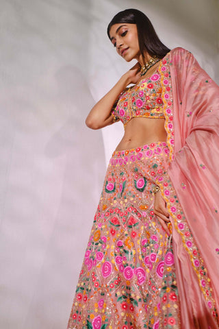 Aneesh Agarwaal-Peach Organza Lehenga Set-INDIASPOPUP.COM