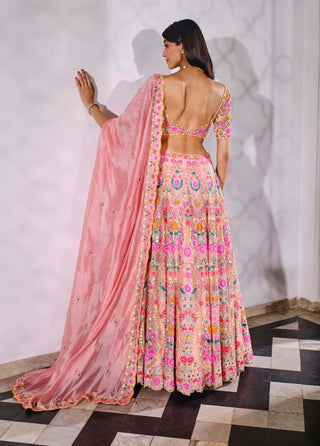 Aneesh Agarwaal-Peach Organza Lehenga Set-INDIASPOPUP.COM