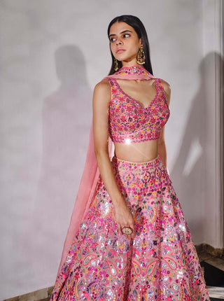 Aneesh Agarwaal-Pink Paisley Mirror Lehenga Set-INDIASPOPUP.COM