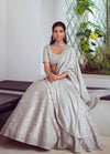 Mishru-Grey Embroidered Lehenga Set With Dupatta-INDIASPOPUP.COM