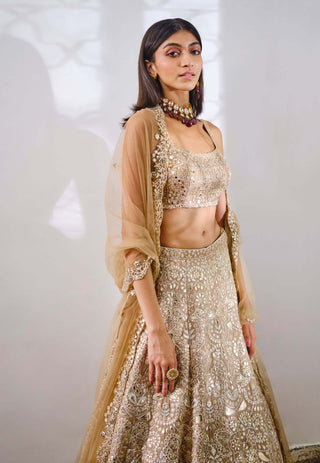 Aneesh Agarwaal-Gold Silk Floral Lehenga Set-INDIASPOPUP.COM