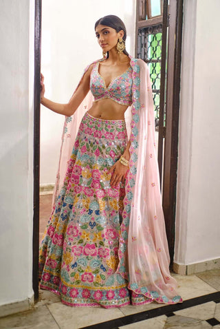 Aneesh Agarwaal-Pink Multicolor Applique Lehenga Set-INDIASPOPUP.COM