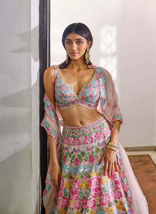 Aneesh Agarwaal-Pink Multicolor Applique Lehenga Set-INDIASPOPUP.COM