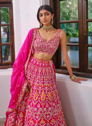 Aneesh Agarwaal-Rani Pink Embroidery Lehenga Set-INDIASPOPUP.COM