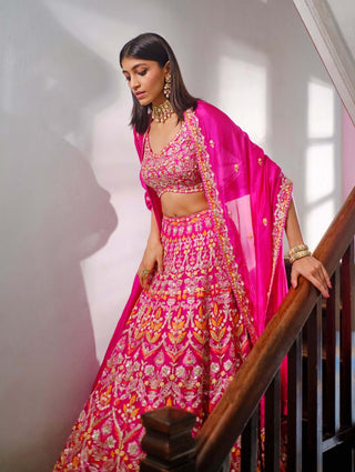 Aneesh Agarwaal-Rani Pink Embroidery Lehenga Set-INDIASPOPUP.COM