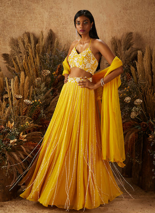 Shloka Khialani-Yellow Jaune Embellished Lehenga Set-INDIASPOPUP.COM