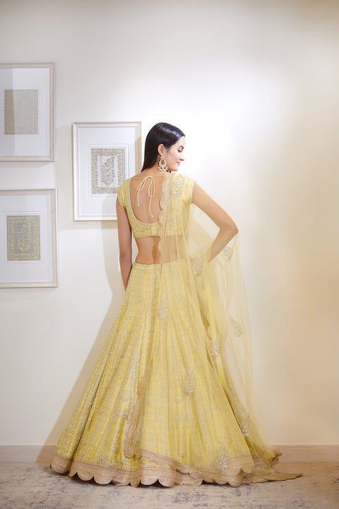 Shyam Narayan Prasad-Light Yellow Embroidered Lehenga Set-INDIASPOPUP.COM