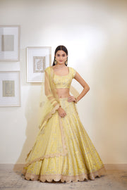 Shyam Narayan Prasad-Light Yellow Embroidered Lehenga Set-INDIASPOPUP.COM