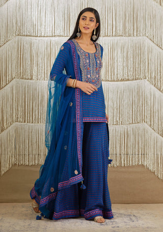 Shyam Narayan Prasad-Teal Blue Embroidered Sharara Set-INDIASPOPUP.COM
