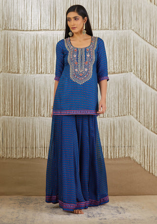 Shyam Narayan Prasad-Teal Blue Embroidered Sharara Set-INDIASPOPUP.COM