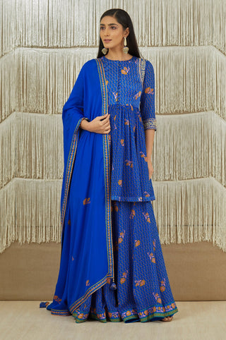 Shyam Narayan Prasad-Royal Blue Embroidered Sharara Set-INDIASPOPUP.COM