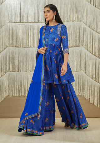 Shyam Narayan Prasad-Royal Blue Embroidered Sharara Set-INDIASPOPUP.COM