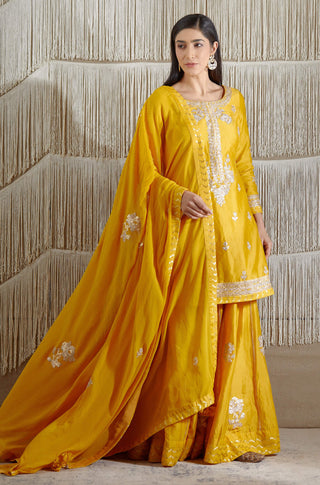 Shyam Narayan Prasad-Mustard Embroidered Sharara Set-INDIASPOPUP.COM