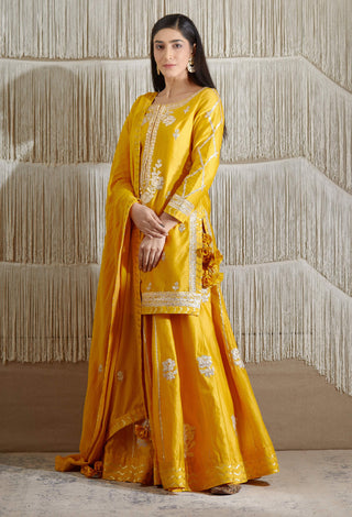 Shyam Narayan Prasad-Mustard Embroidered Sharara Set-INDIASPOPUP.COM