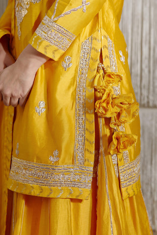 Shyam Narayan Prasad-Mustard Embroidered Sharara Set-INDIASPOPUP.COM