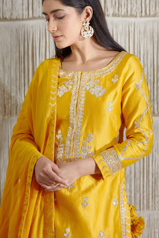 Shyam Narayan Prasad-Mustard Embroidered Sharara Set-INDIASPOPUP.COM