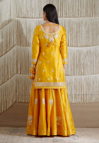 Shyam Narayan Prasad-Mustard Embroidered Sharara Set-INDIASPOPUP.COM